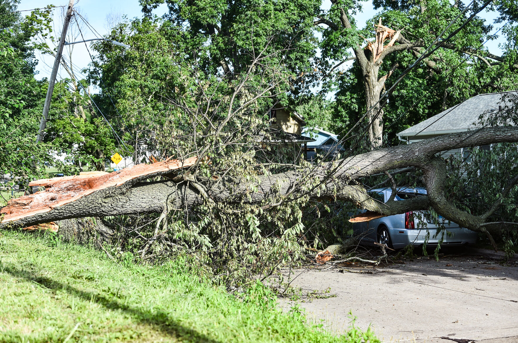 081220-storm-clean-up-003
